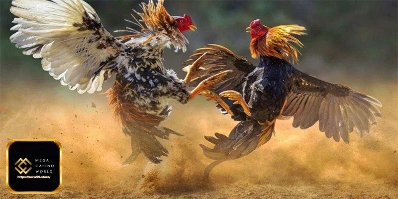 লোহার নখ ককফাইটিং