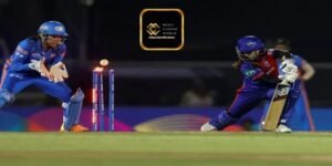 ক্রিকেটের দামের হার কী?
